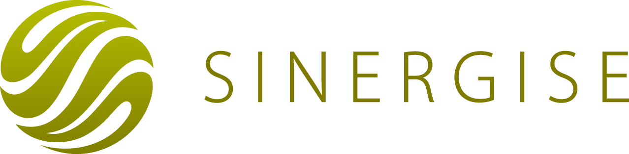 Sinergise Logo